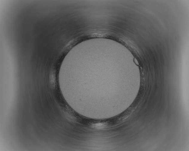 X0000111830312200909031519