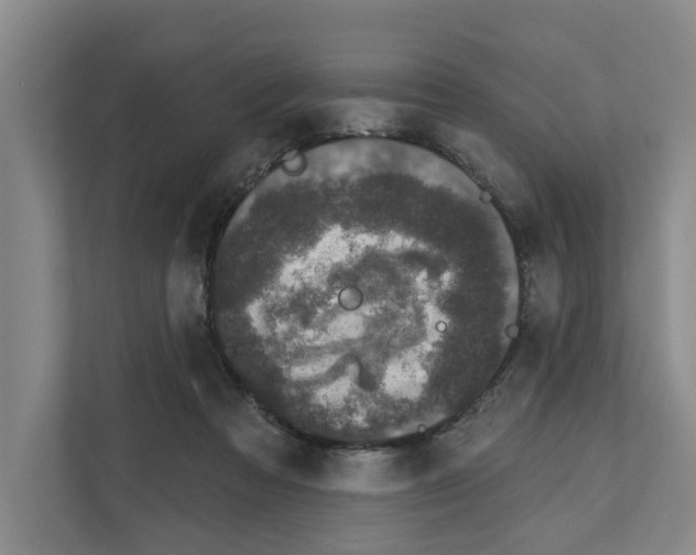 X0000111830313200909031519