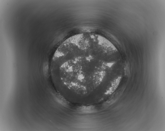 X0000111830314200909031519