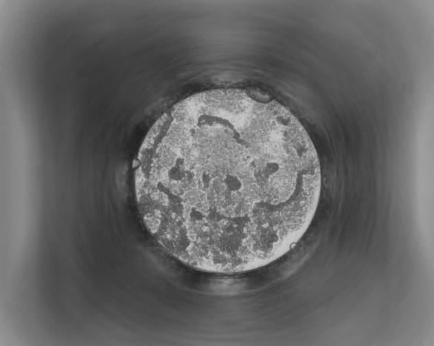 X0000111830319200909031518