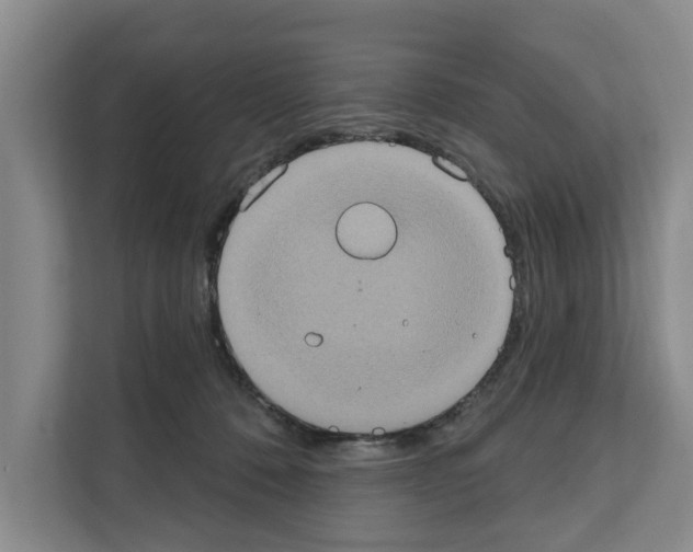 X0000111830320200909031518