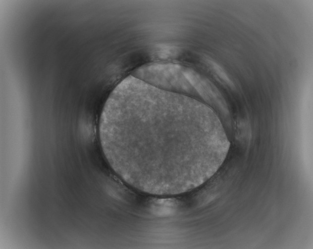 X0000111830324200909031518