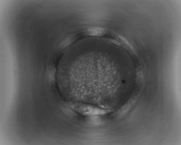 X0000111830325200909031518
