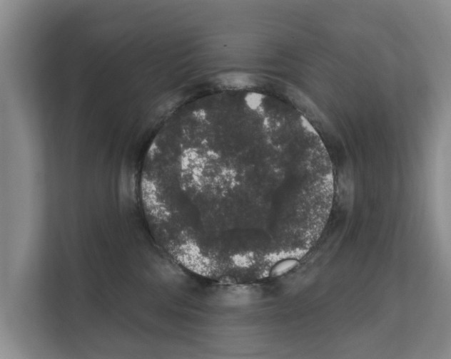 X0000111830330200909031518