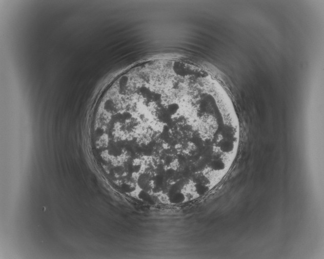 X0000111830337200909031518