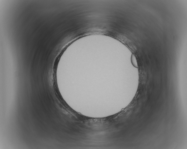 X0000111830338200909031518