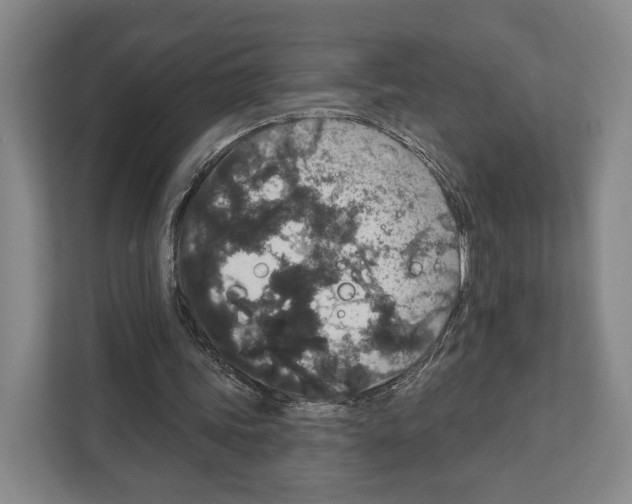 X0000111830339200909031518