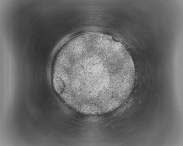 X0000111830341200909031518