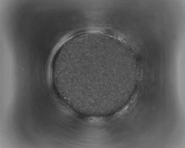 X0000111830343200909031518