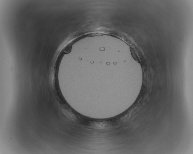 X0000111830344200909031518