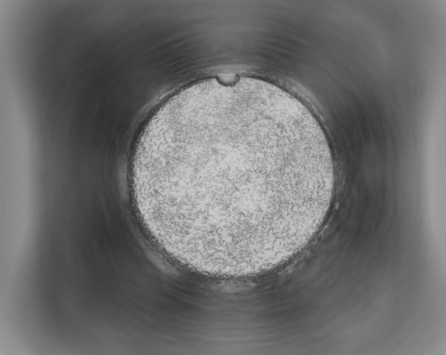 X0000111830345200909031518