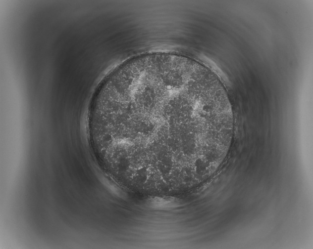 X0000111830346200909031518