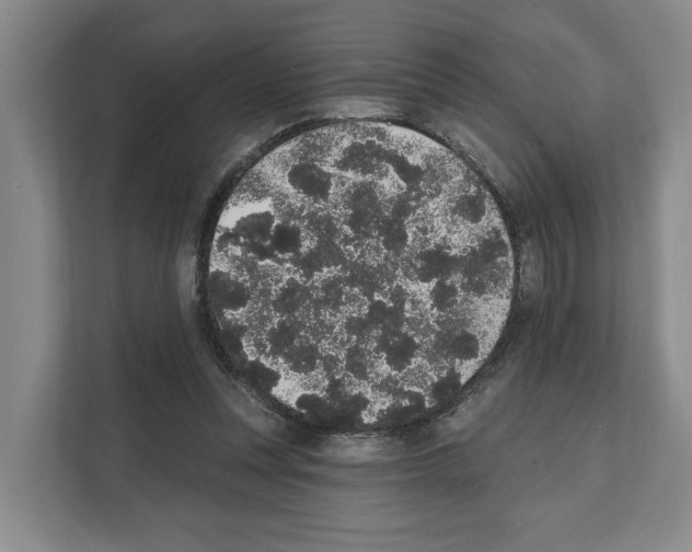 X0000111830351200909031518