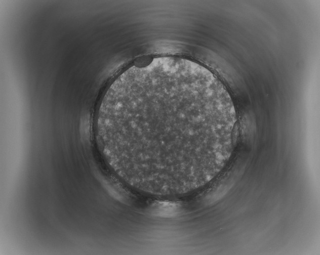 X0000111830352200909031518