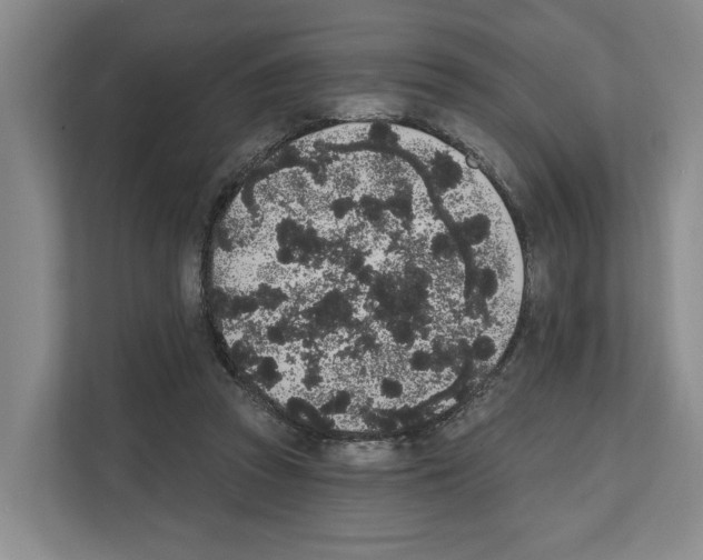 X0000111830353200909031518