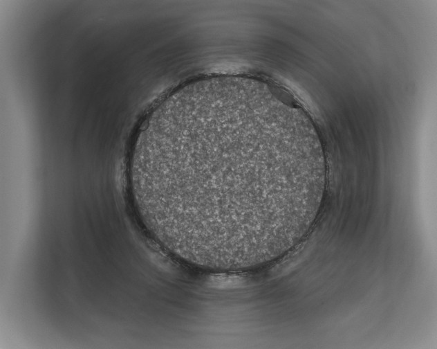 X0000111830354200909031518