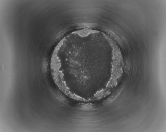 X0000111830355200909031518