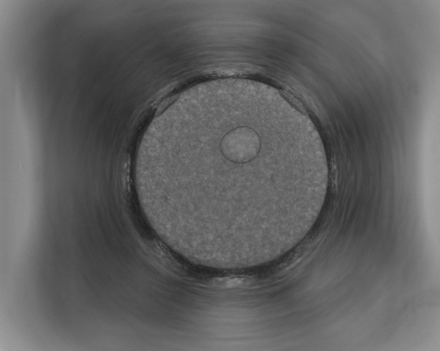 X0000111830356200909031518