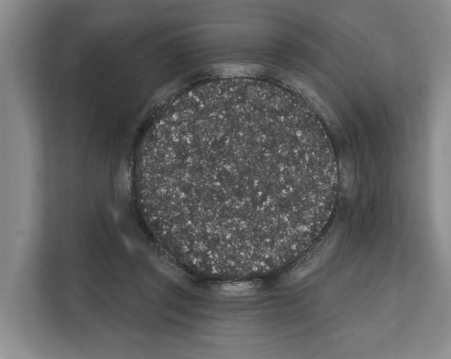 X0000111830357200909031518