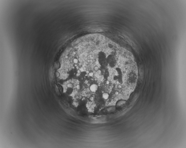 X0000111830359200909031518