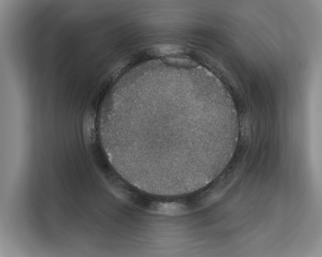 X0000111830360200909031518