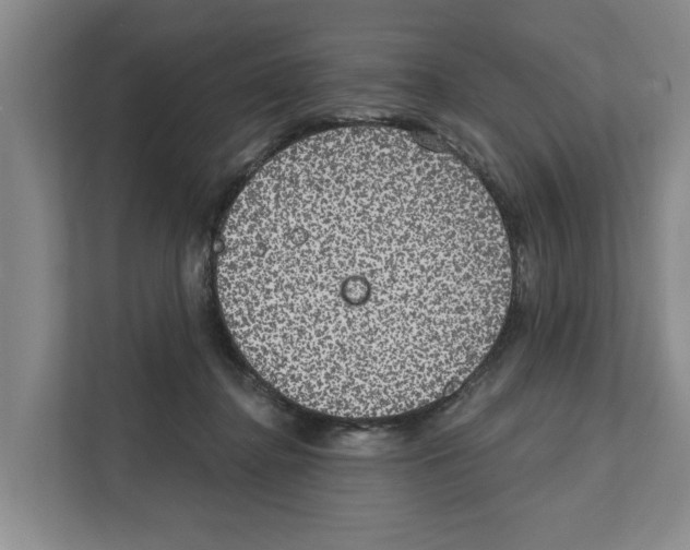 X0000111830364200909031518