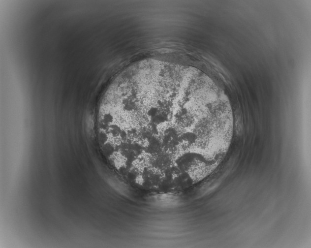 X0000111830365200909031518