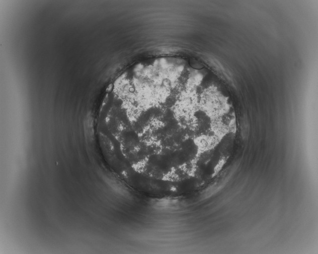 X0000111830366200909031518
