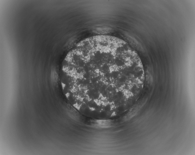 X0000111830371200909031518