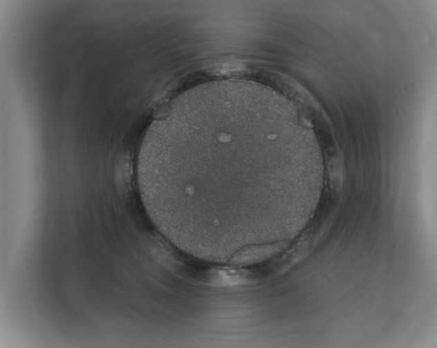 X0000111830372200909031518