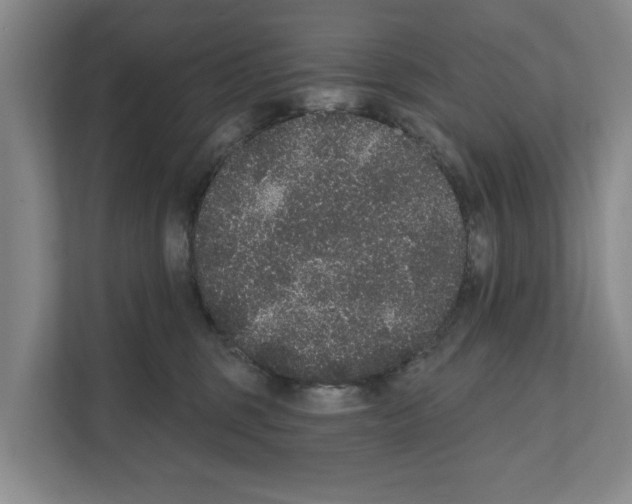 X0000111830375200909031518