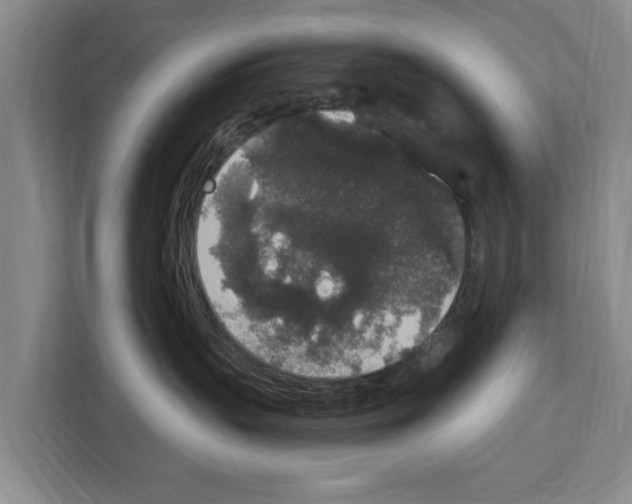 X0000111830383200909031518