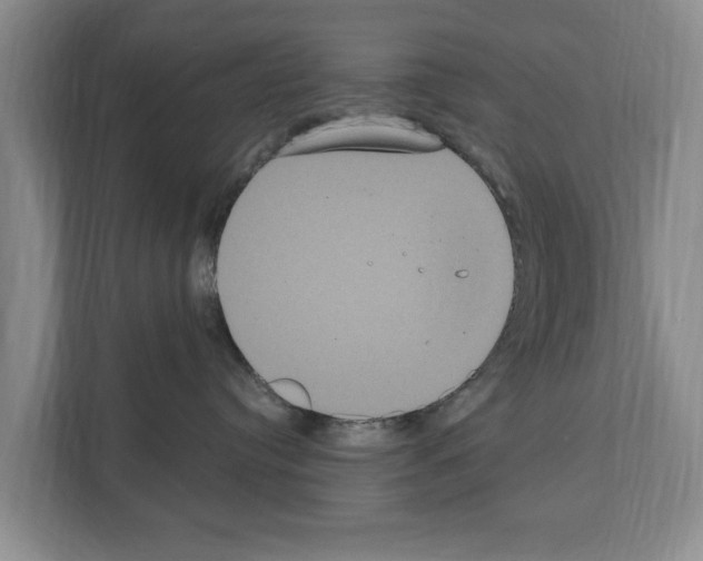 X0000111830384200909031518