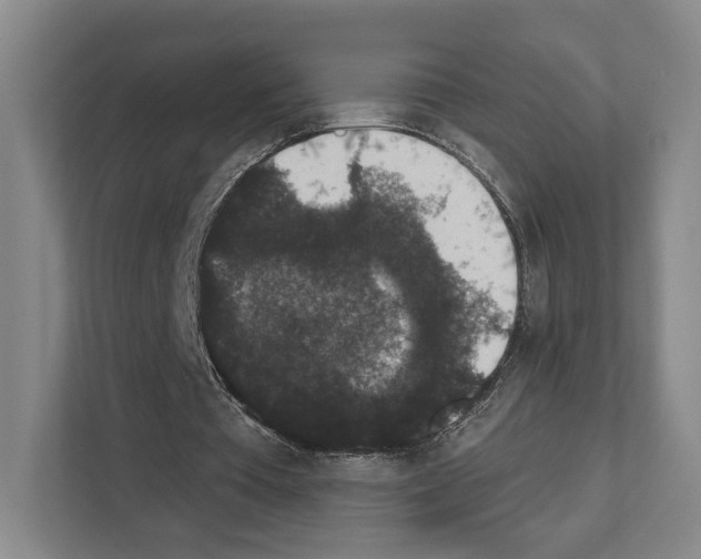 X0000111830385200909031518