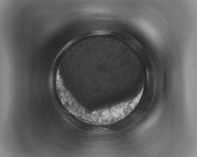 X0000111830387200909031518