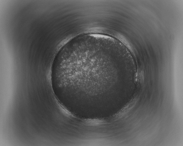X0000111830389200909031518