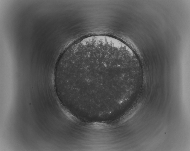 X0000111830393200909031517