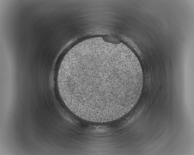 X0000111830395200909031517