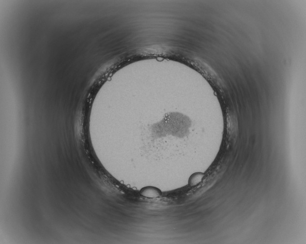 X0000111830396200909031517