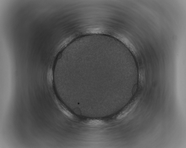 X0000111830397200909031517