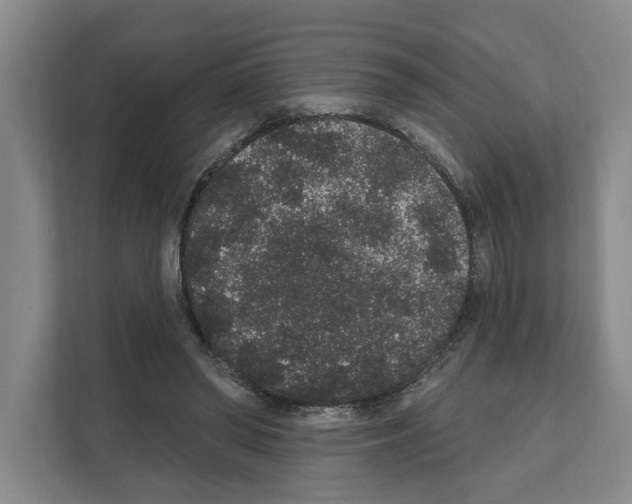 X0000111830398200909031517