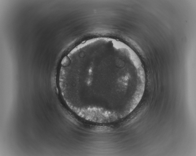 X0000111830399200909031517