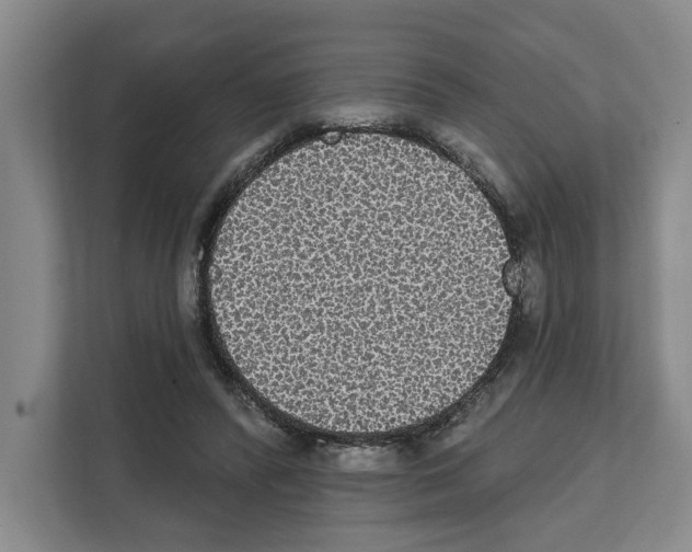 X0000111830400200909031517