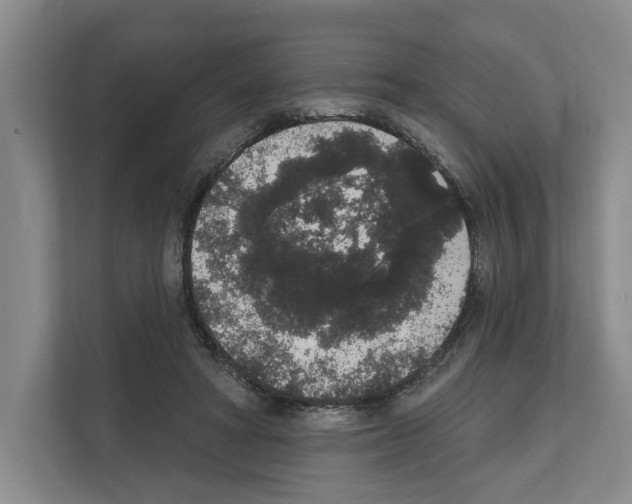 X0000111830402200909031517