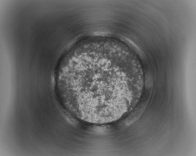 X0000111830405200909031517