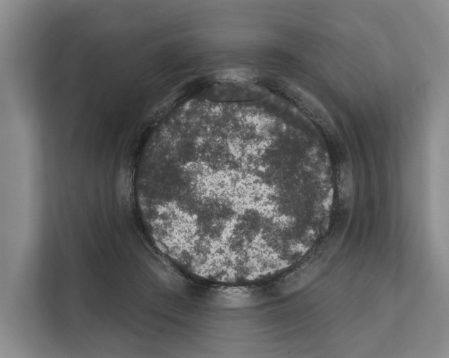 X0000111830409200909031517