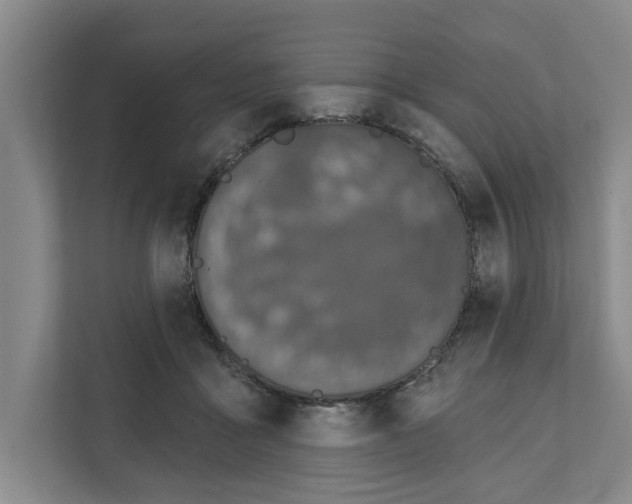 X0000111830411200909031517