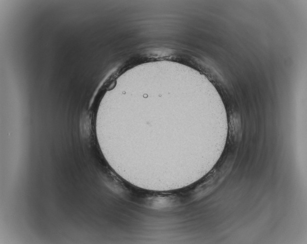 X0000111830412200909031517