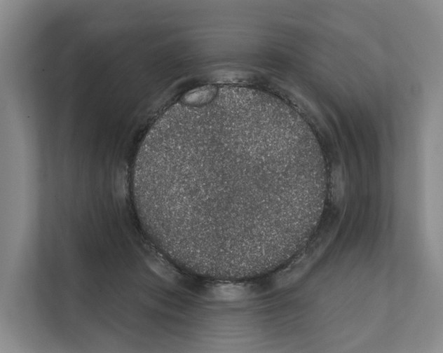 X0000111830413200909031517