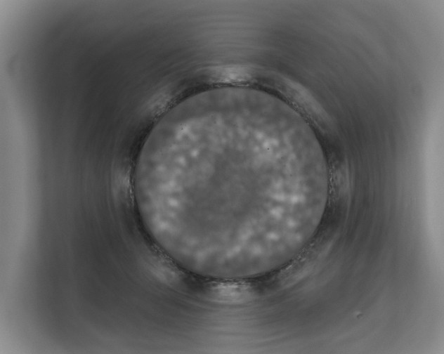 X0000111830415200909031517